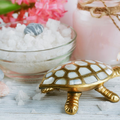 Vastu Items