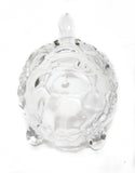 Glass Turtle