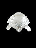 Vastu Turtle