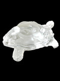 Vastu Turtle