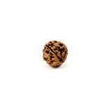 Rudraksha 4 Face