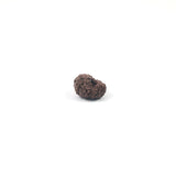 Rudraksha 14 Face