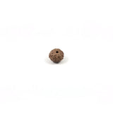 Rudraksha 9 Face