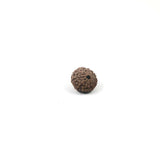 Rudraksha 10 Face
